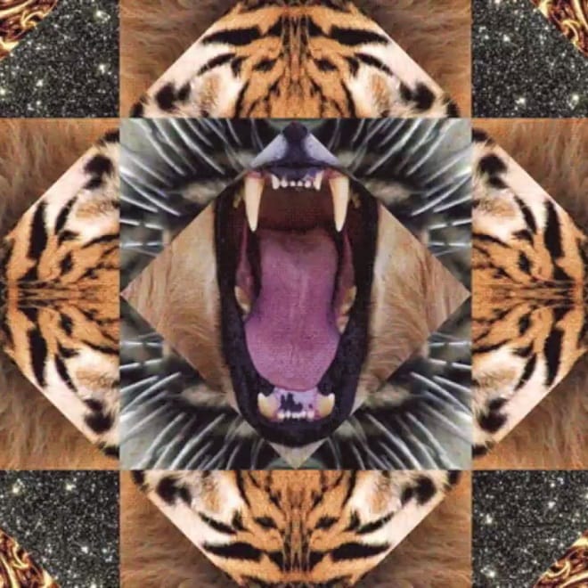 Shabazz Palaces - #CAKE (Animal Collective Premature Deflirt Mix)