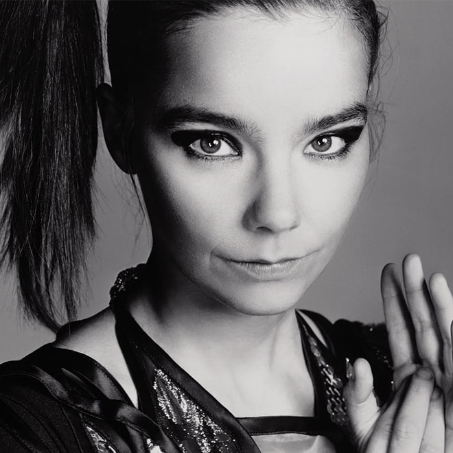Björk Announces Upcoming Album 'Vulnicura'