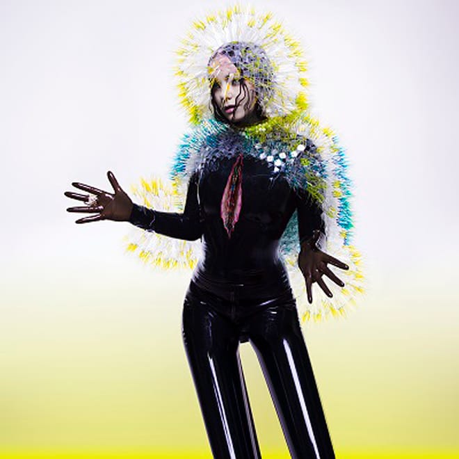 Björk - Vulnicura (Album)