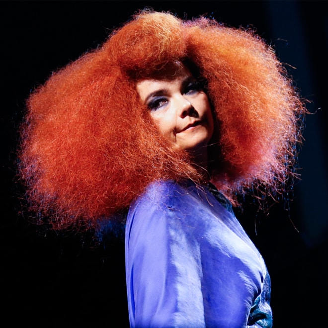 Björk's Upcoming Album 'Vulnicura' Leaks Months Before Official Release