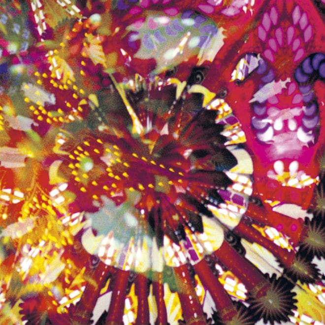 Caribou Releases a Live Album for a Good Cause