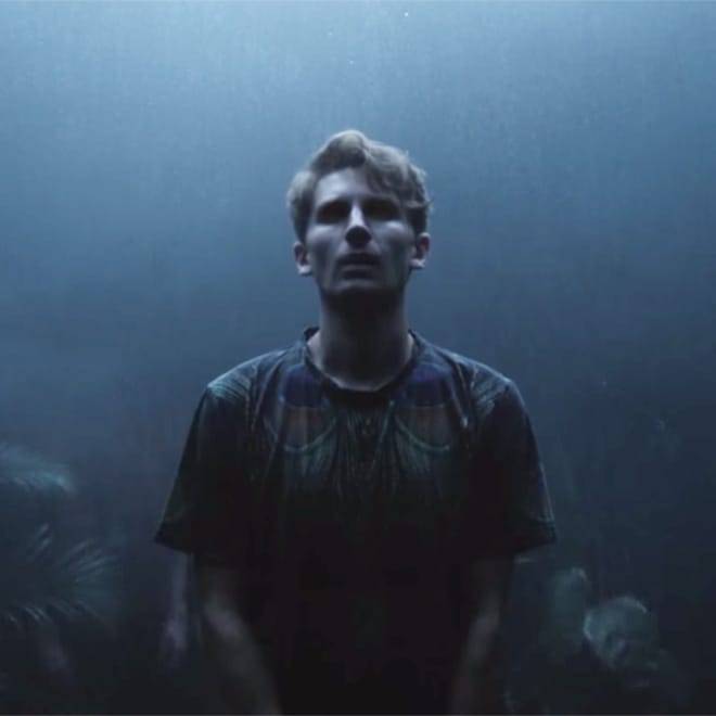 Glass Animals - Black Mambo