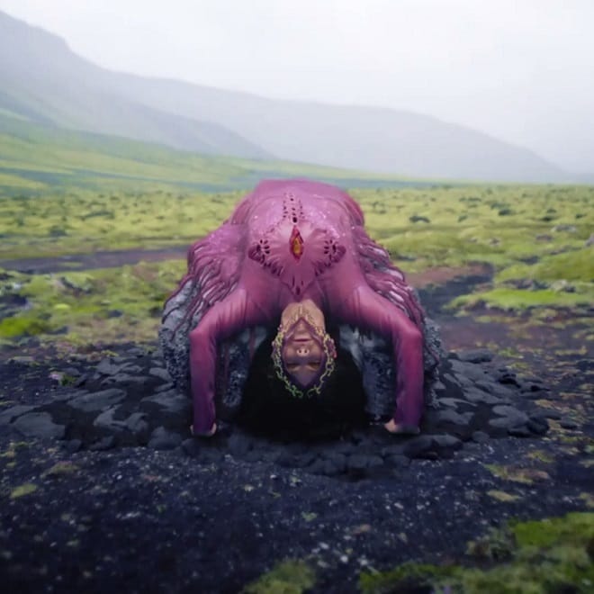 Björk's Video for "Family" Is A Moving Album Cover