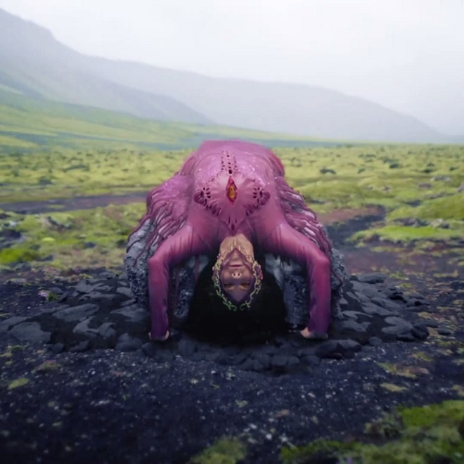 Björk's Video for "Family" Is A Moving Album Cover