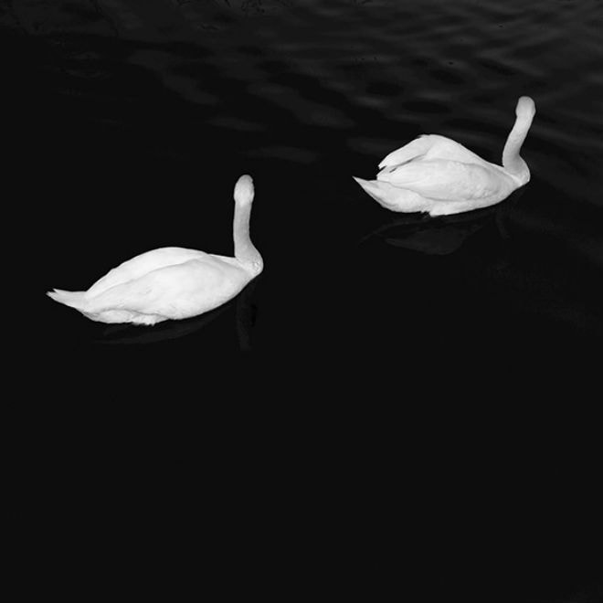 Cashmere Cat featuring Ariana Grande - Adore