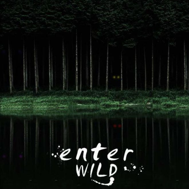 Frank Leone - EnterWILD (Free Album) 