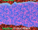 PREMIERE: Tunji Ige - Day2Day (Eagle Remix)