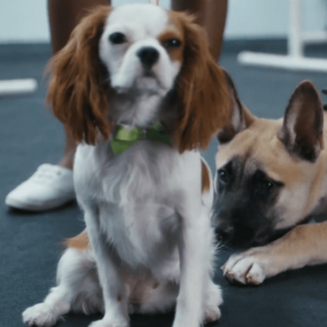 J. Cole - Wet Dreamz