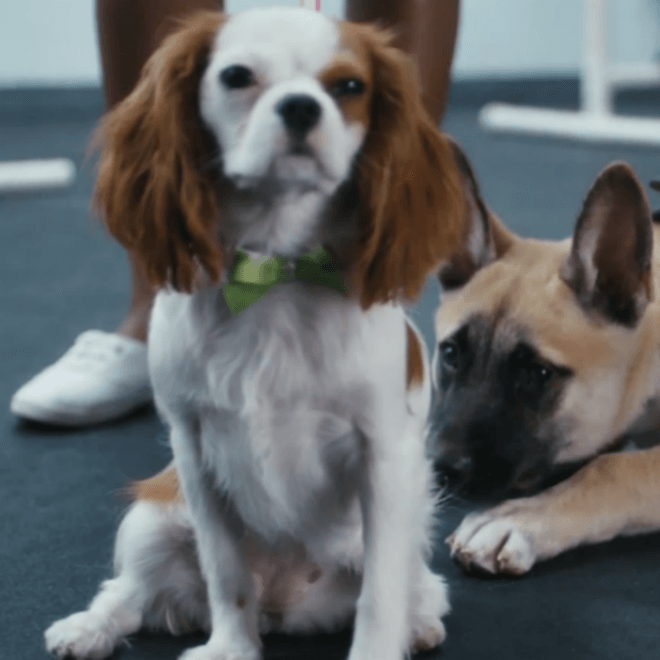 J. Cole - Wet Dreamz