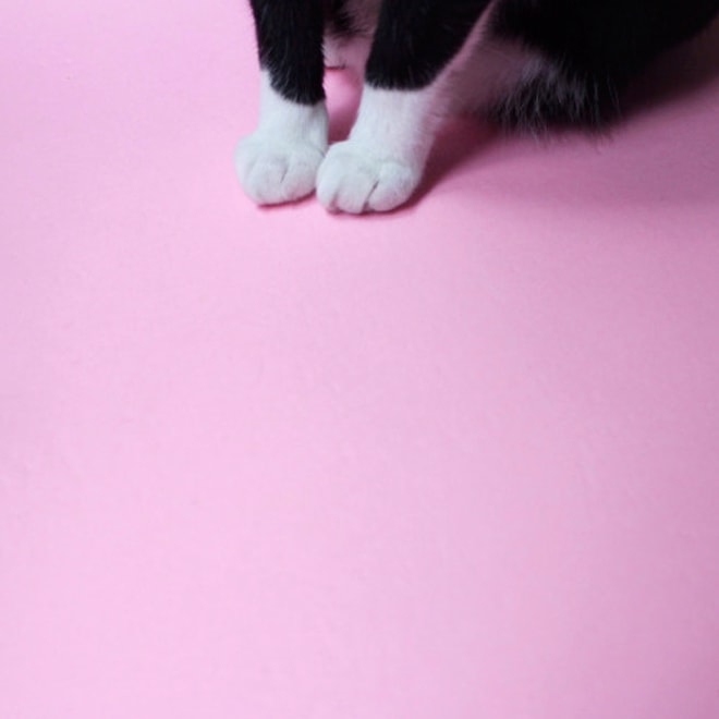 Sunni Colón Releases Two New Demos, "Water" and "Fuchsia"