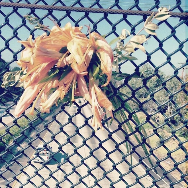 Stream The New Side Project From Wavves, 'Spirit Club'