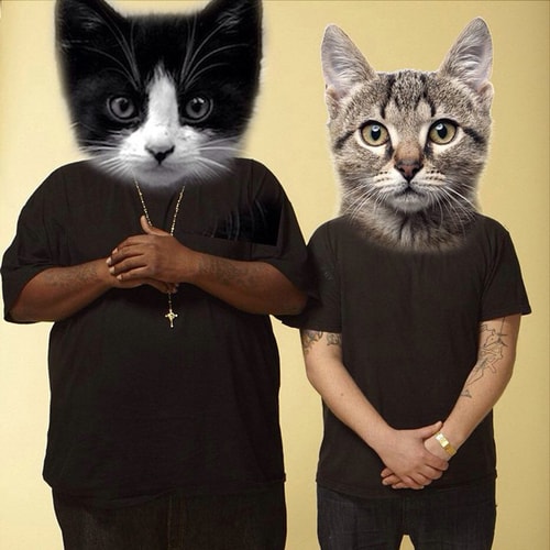 Preview "Angelmeowster" From Run the Jewels' Cat-Remix Album