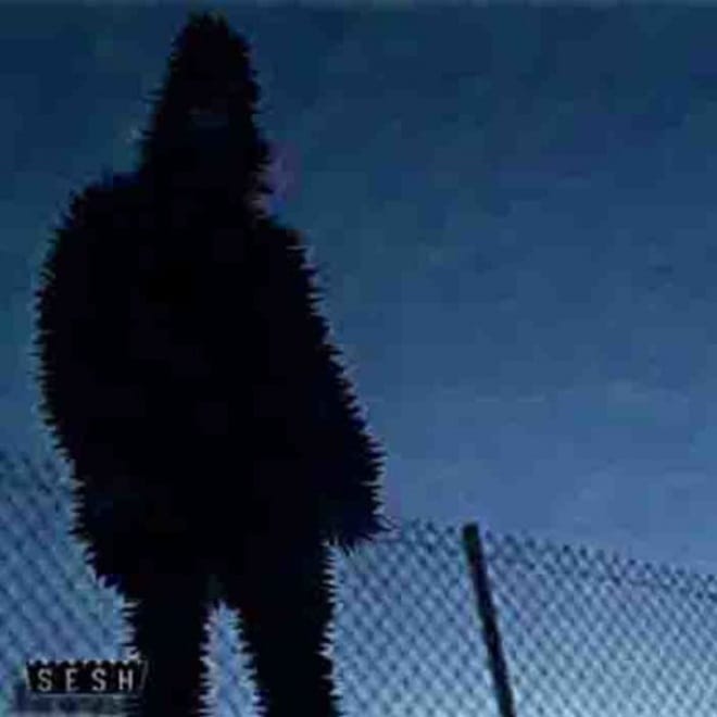 TeamSESH's Cat Soup Releases New Project Featuring Bones, Curtis Heron & More