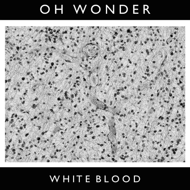 Oh Wonder - White Blood