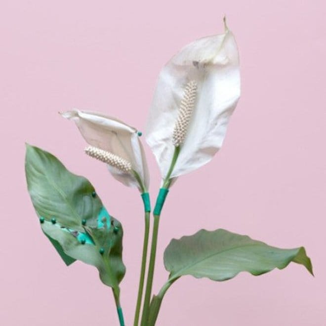 Sunni Colón Shares New Song, "Crowded Room"