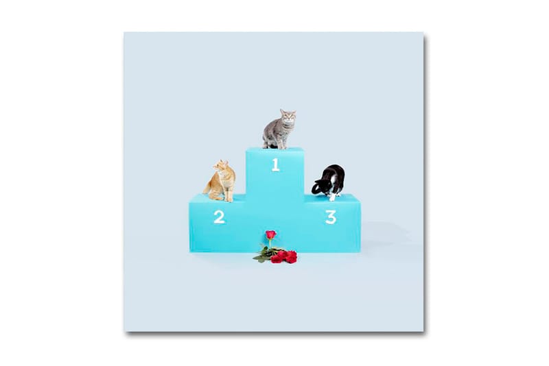 RAC featuring Madi Diaz - Falling Hard