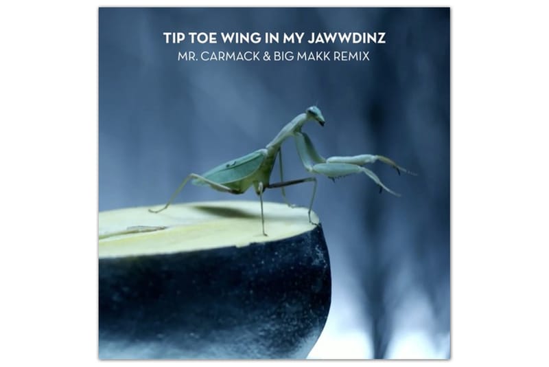 RiFF RAFF – TiP TOE WiNG IN MY JAWWDiNZ (Mr. Carmack Remix)