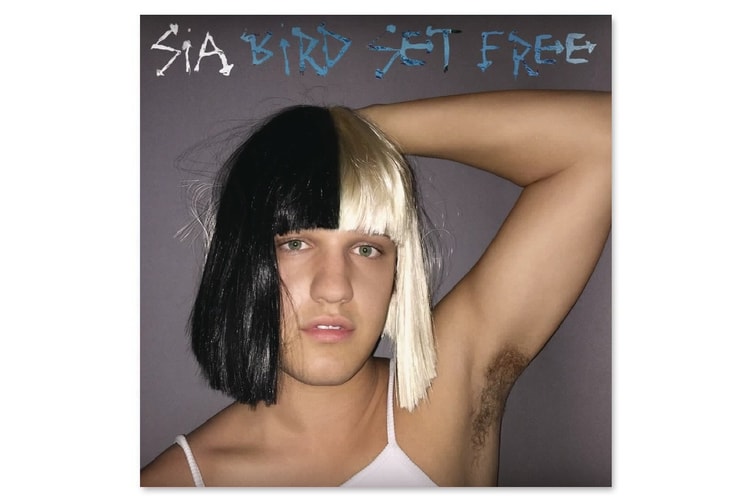 Sia Shares a New Power Ballad "Bird Set Free"