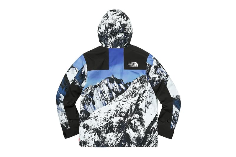 Supreme The North Face Parka Mountain Nylon Montagne