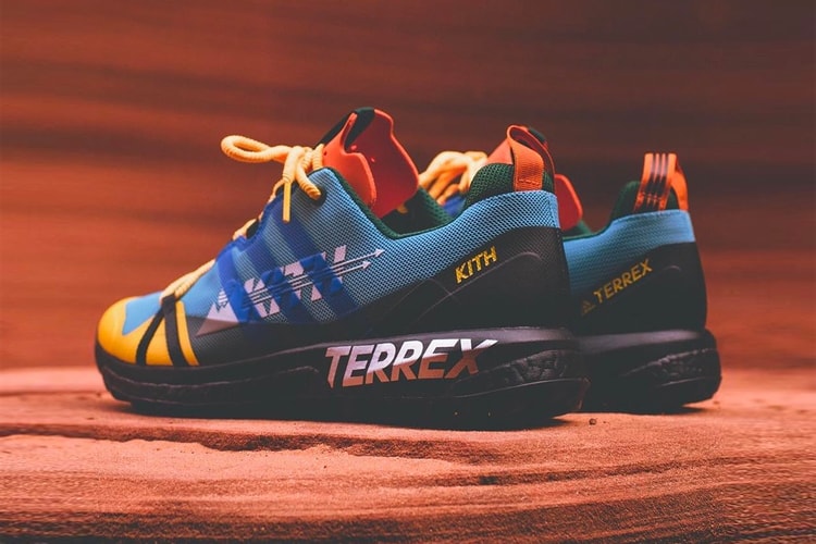 Ronnie Fieg Offre Un Premier Aperçu De La Collaboration adidas Terrex Agravic GTX