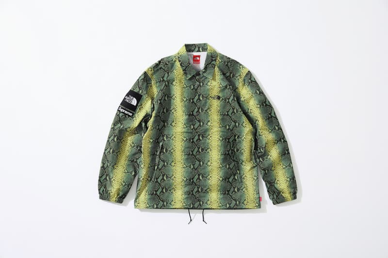 Photo Supreme x The North Face