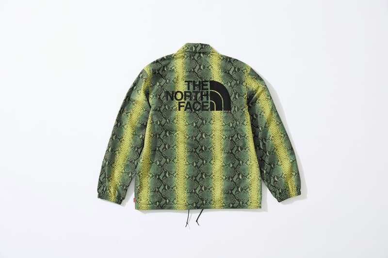 Photo Supreme x The North Face