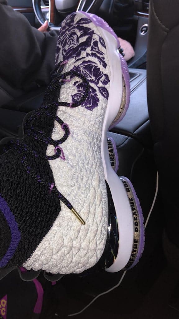 LeBron James, sneaker, purple rain