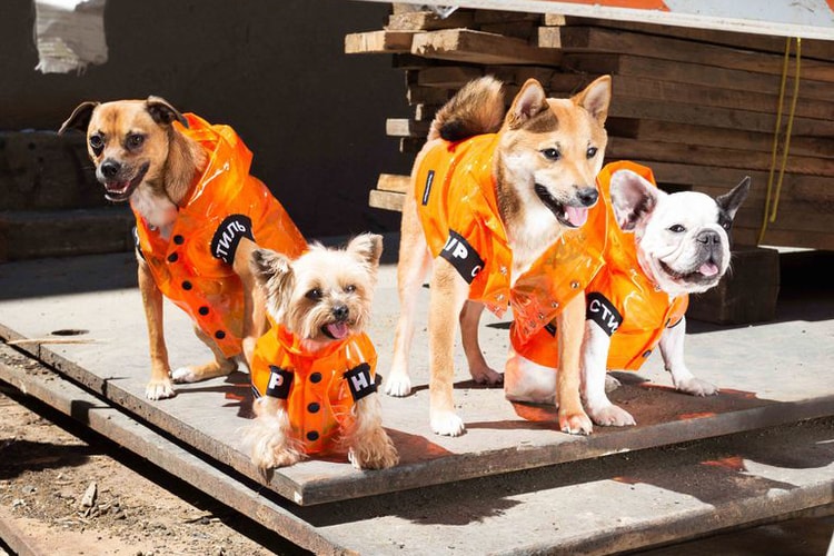 Heron Preston Dévoile Une Collection Capsule Imaginée Pour Les Chiens