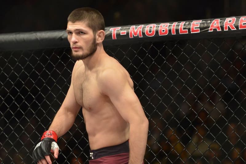 Khabib Nurmagomedov Conor McGregor Combat Bagarre Reaction 