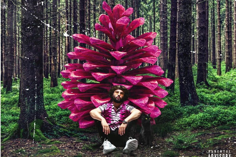 Qui Se Cache Derrière La Première Partie Des Concerts D'Hamza ?