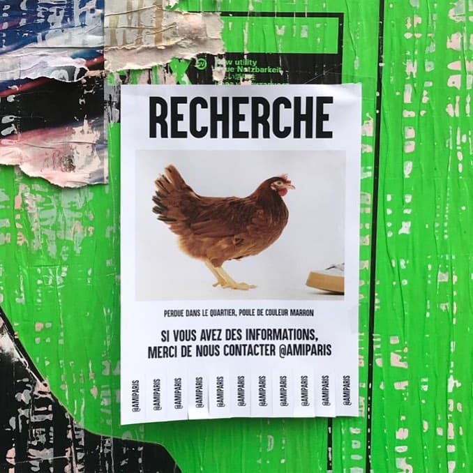 Photo AMI Campagne Printemps/Été 2019