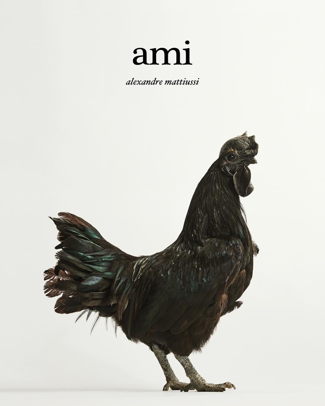 Photo AMI Campagne Printemps/Été 2019