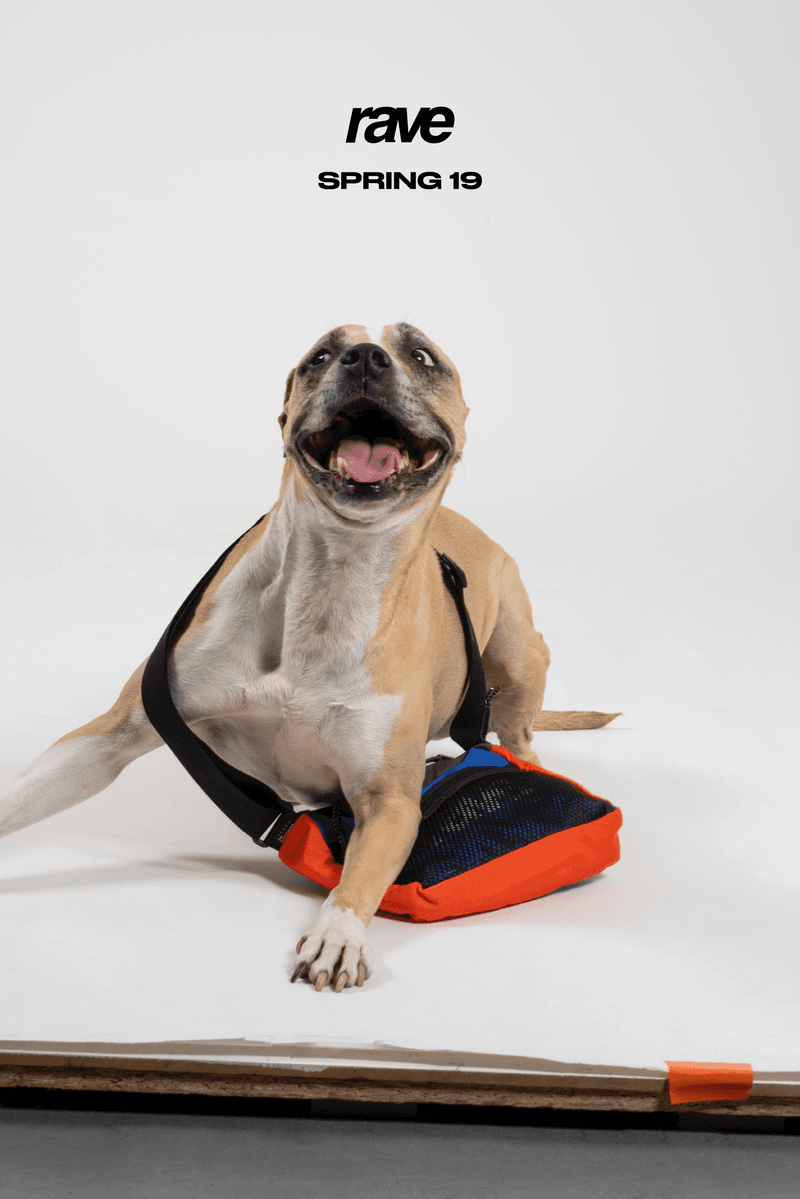 Rave Skateboards Collection Spring 2019 Lookbook