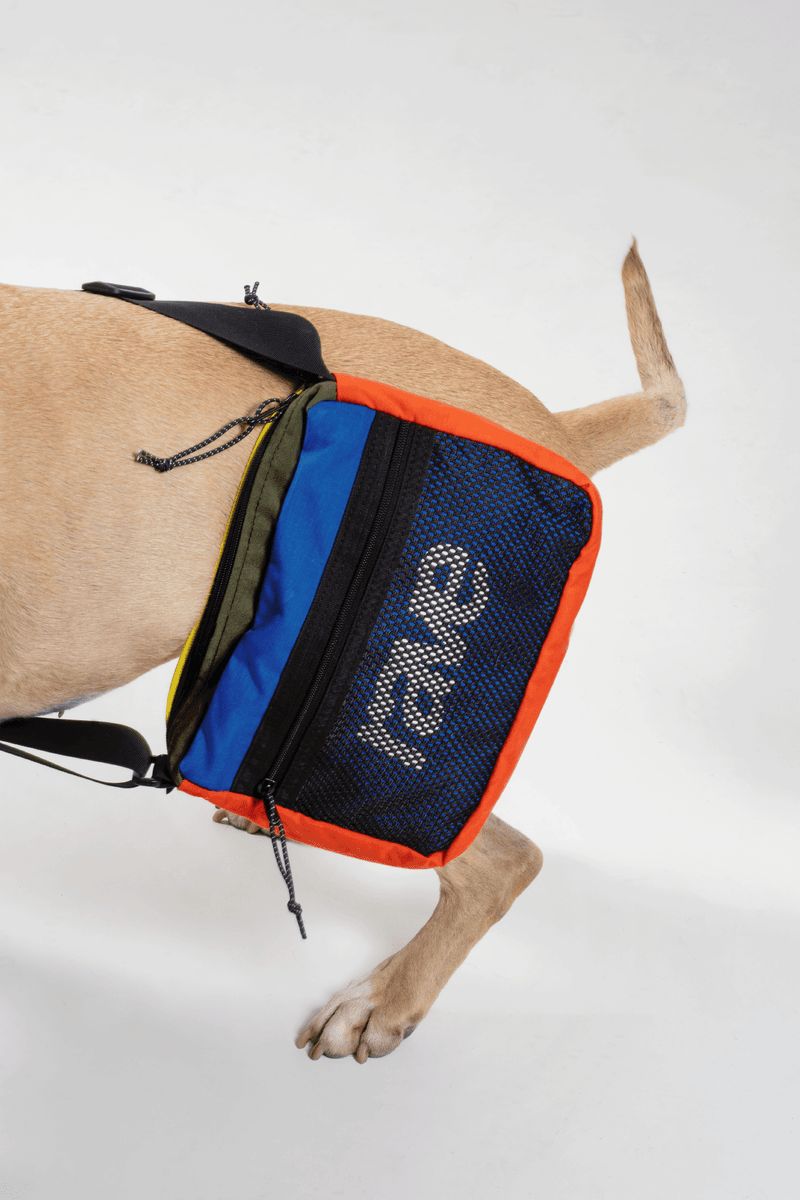 Rave Skateboards Collection Spring 2019 Lookbook