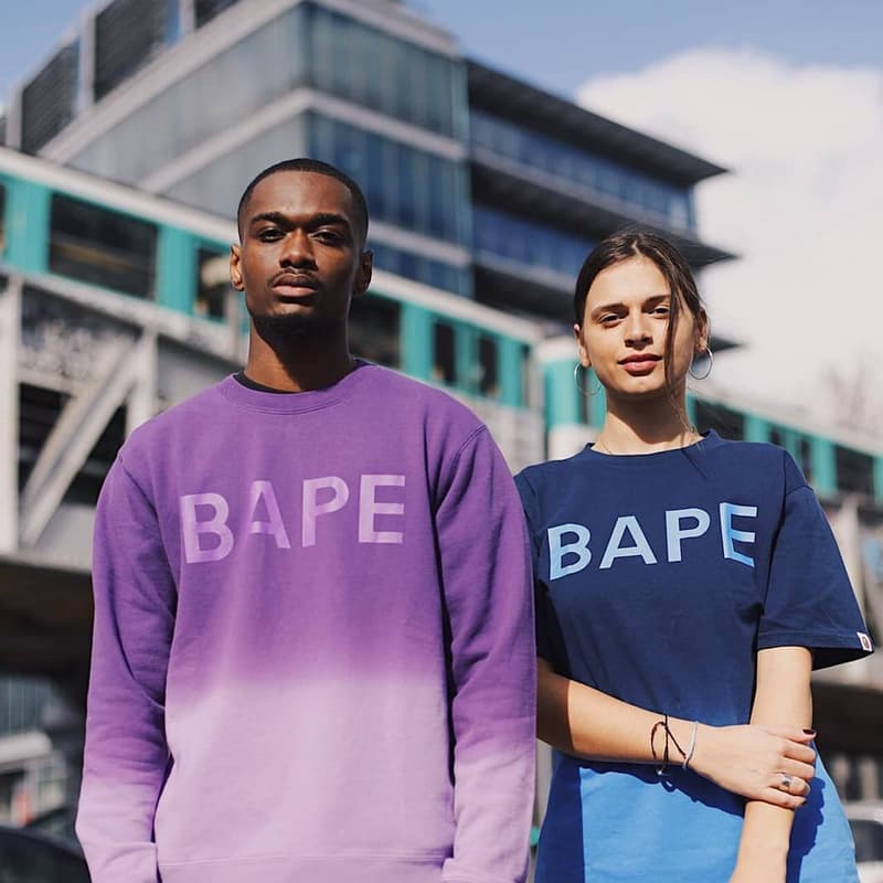 Photo De BAPE France
