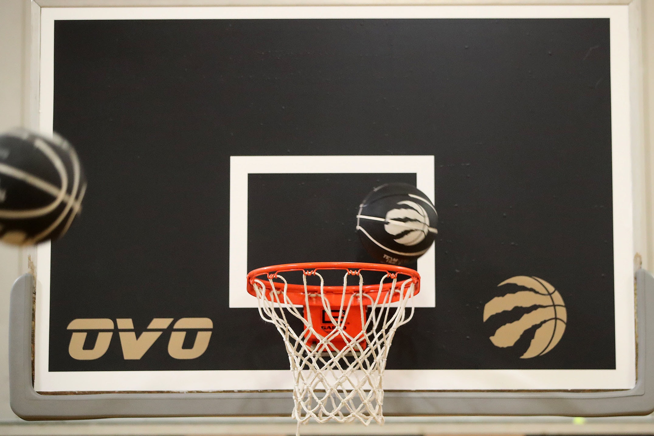 Drake OVO Toronto Raptors Athletic Centre Photos