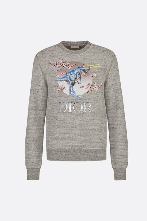 Dior collection Sorayama pre fall 2019 drop