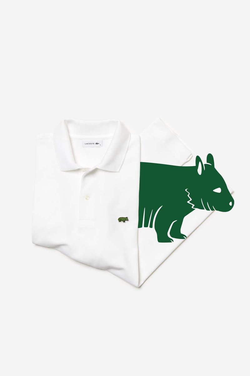 polo lacoste lynx