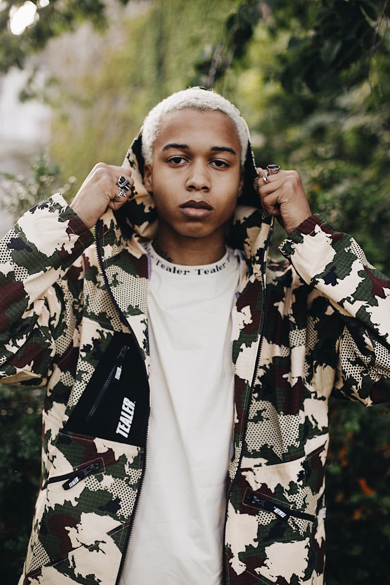 Photo de Tealer