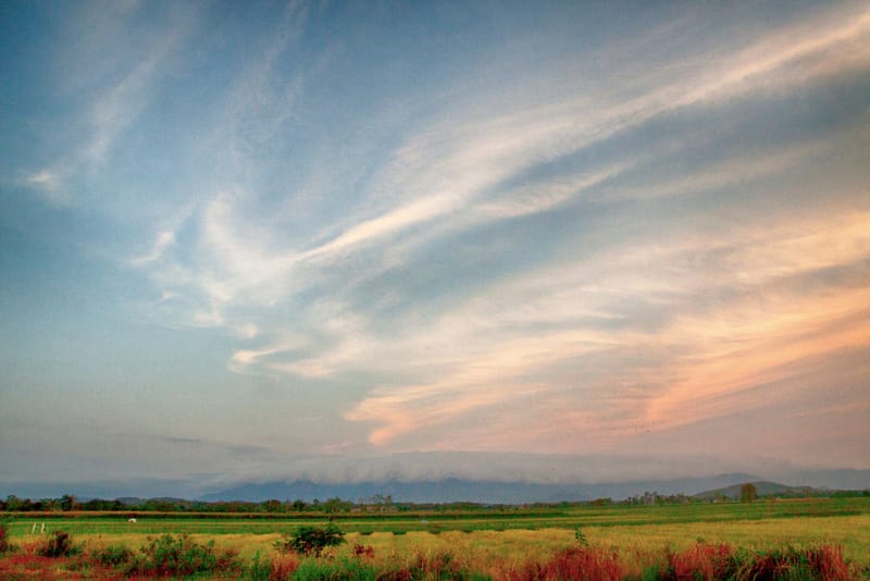 15 beats soulful et jazzy pour passer un doux vendredi