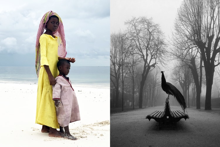 iPhone Photography Awards 2019 : voici les plus belles photos de l'année prises à l'iPhone