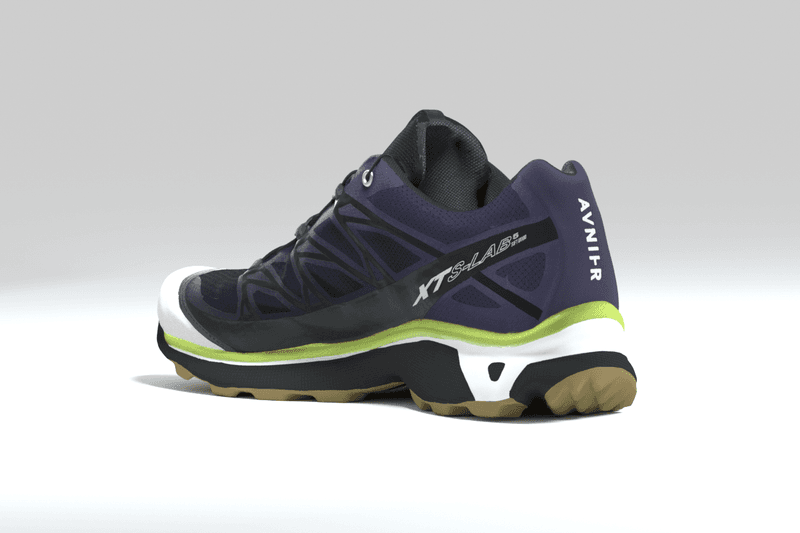 AVNIER Salomon collaboration