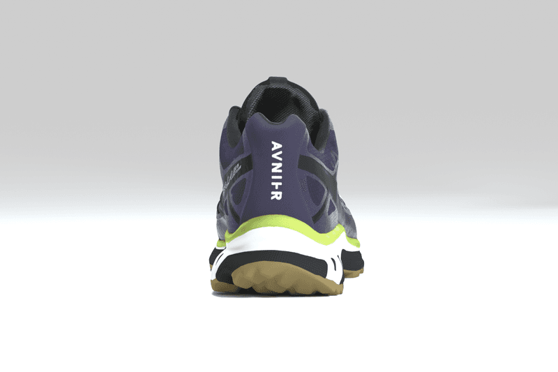 AVNIER Salomon collaboration