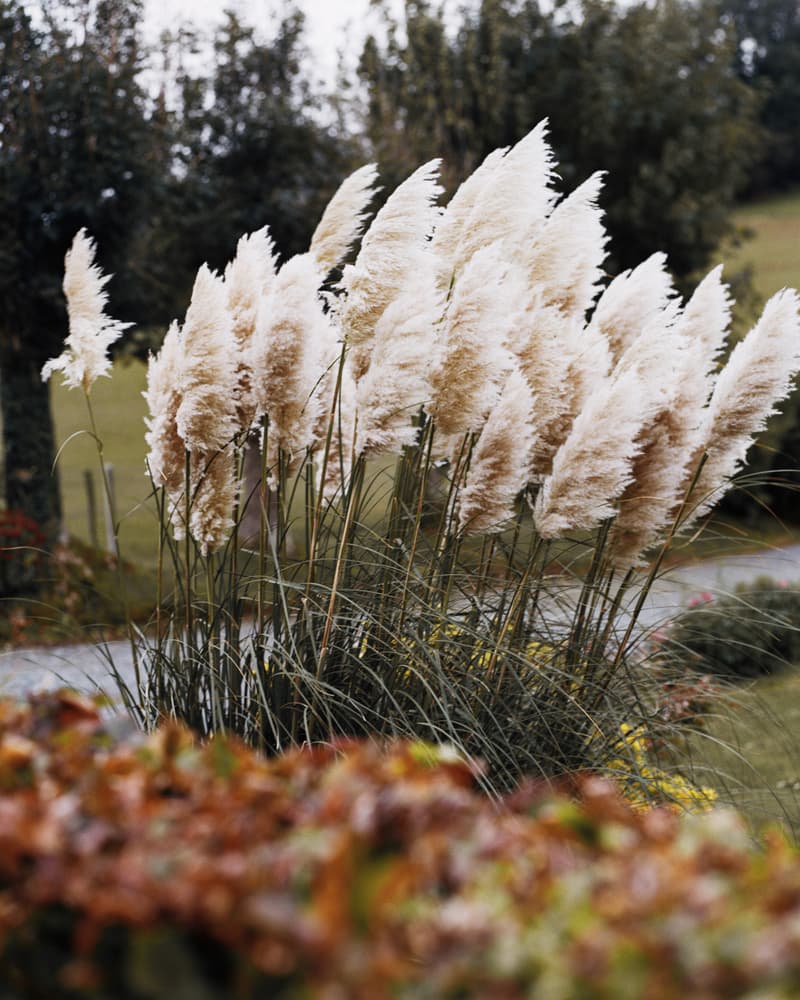 Photo De Bonne Capture campagne Automne/Hiver 2019