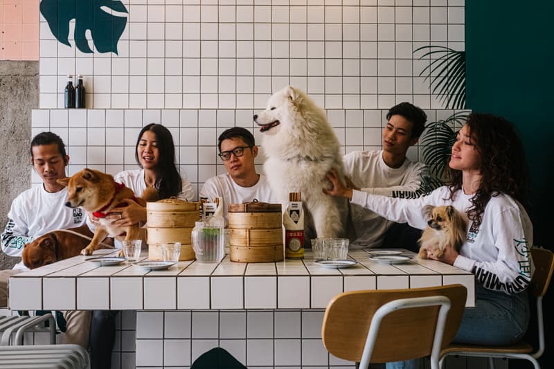 Tealer Petit Bao collection