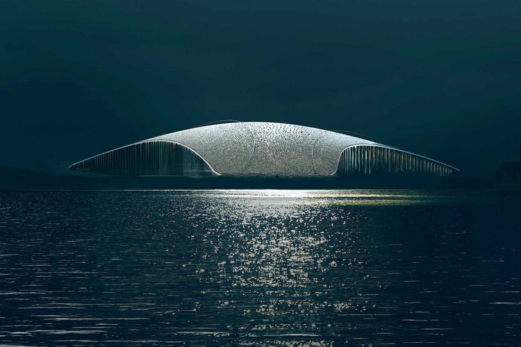 Photos - Plongez dans "The Whale", monumental bâtiment en forme de baleine qui permettra d'observer les cétacés