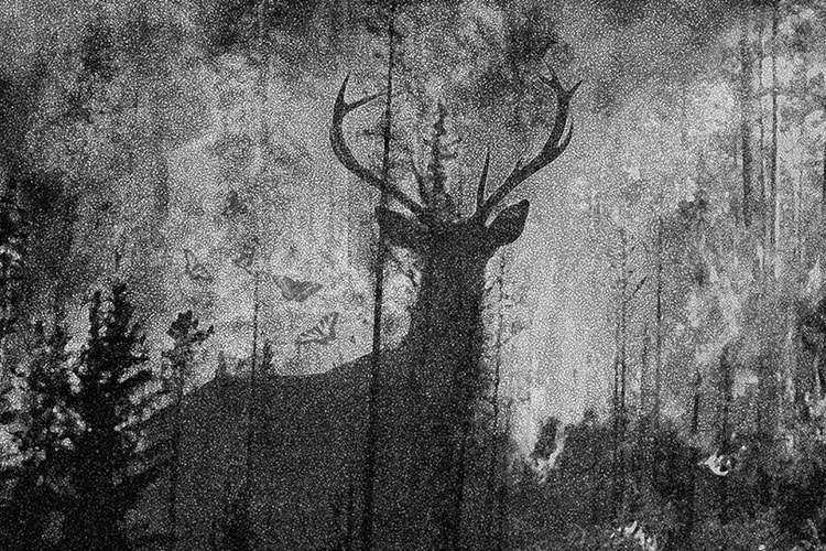 Les 10 plus beaux clips de rap français cette année