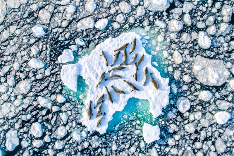 Travel Photographer of the Year 2019 Photographie