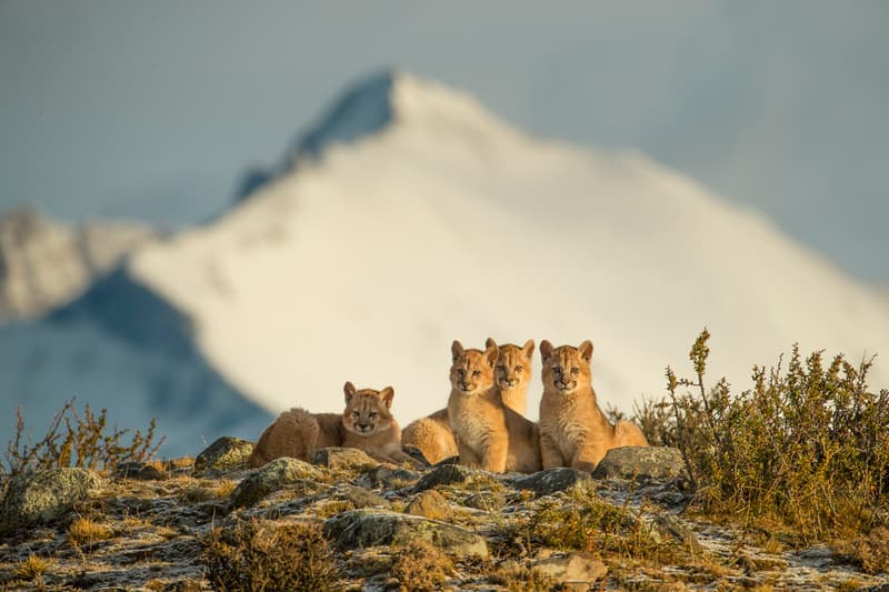 Travel Photographer of the Year 2019 Photographie