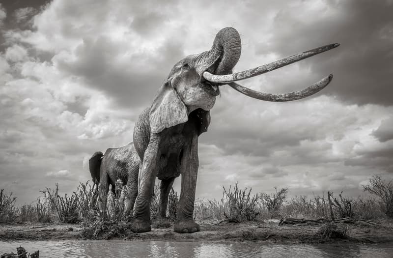 Travel Photographer of the Year 2019 Photographie